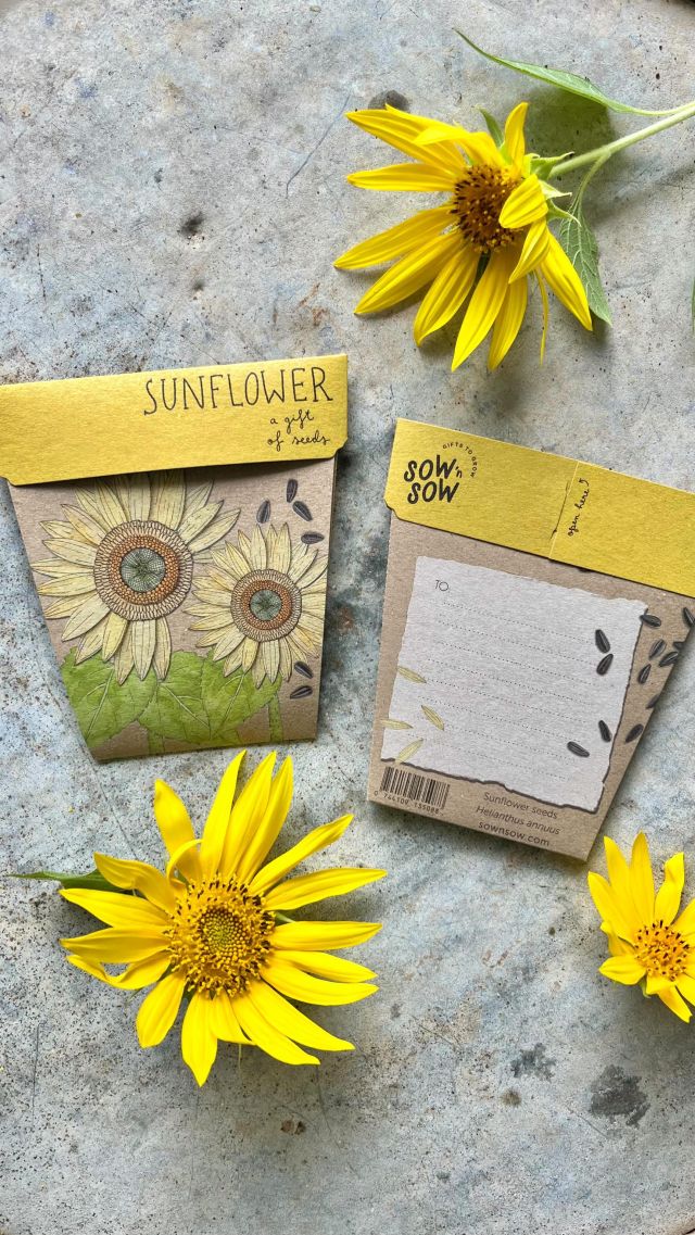 Personalized Seed Packet Wedding Favors With Sunflower Burlap and Lace -  Etsy